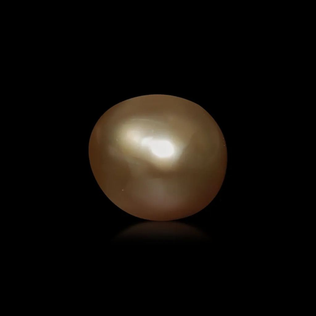 Golden Aura Premium Pearl