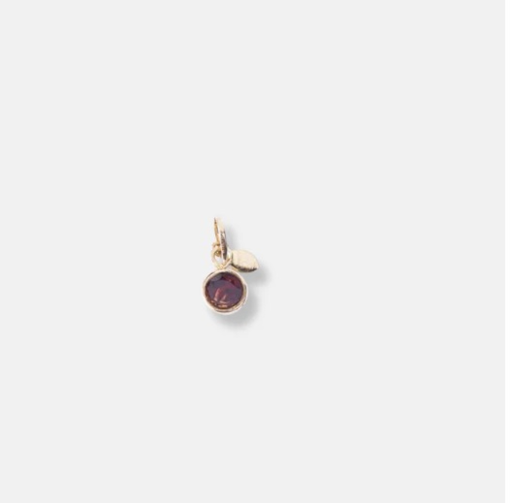 Garnet Birthstone Pendant Charm Capricorn