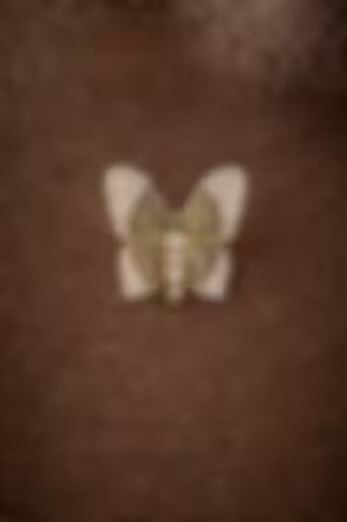 Gold Finish Kundan Polki Butterfly Brooch In Sterling Silver